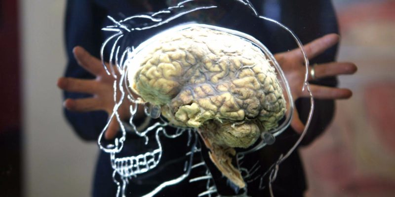 Life After A Stroke Brain Regeneration & Healing